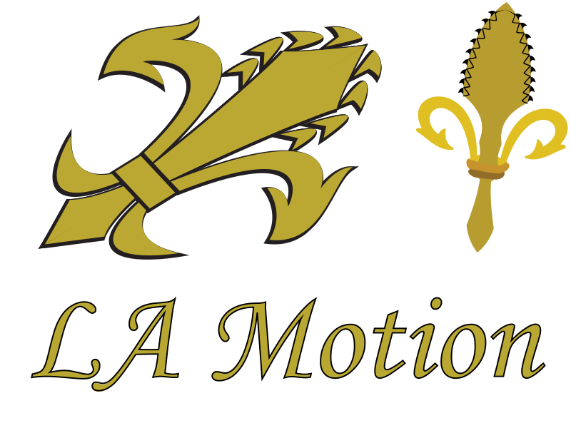 La Motion Logo Draft