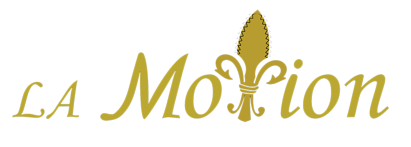 La Motion Logo Final