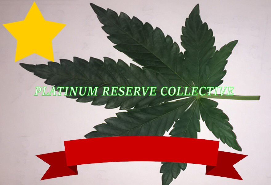 Platinum Reserve Collective Logo Sketch